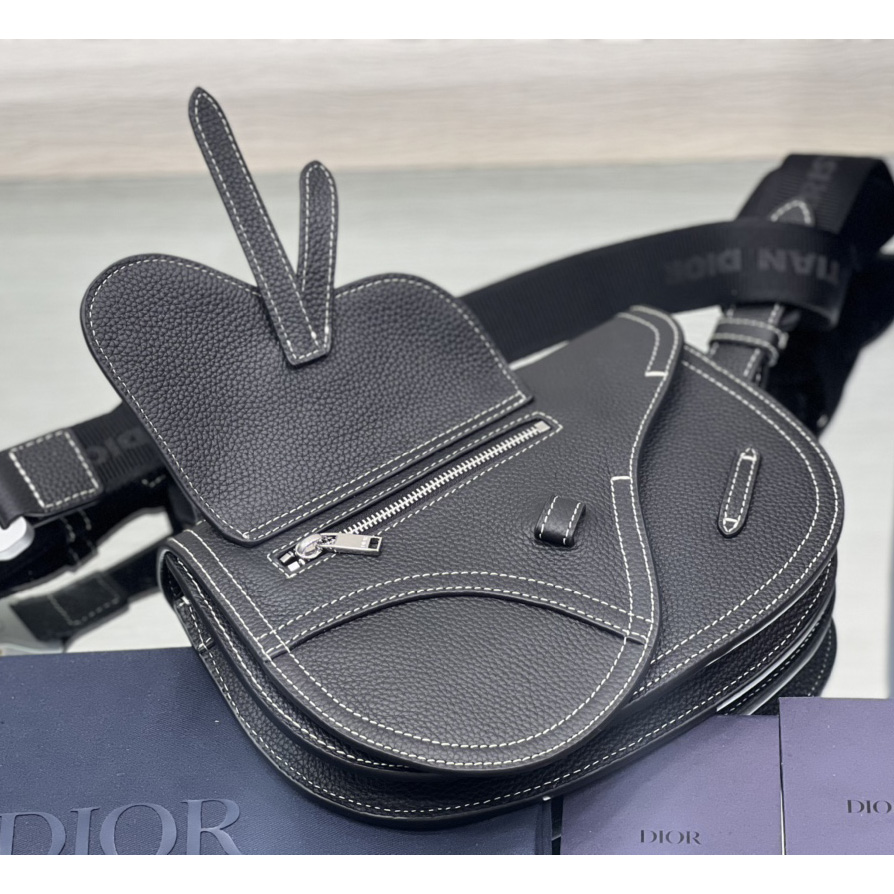 Dior Saddle Pouch - 