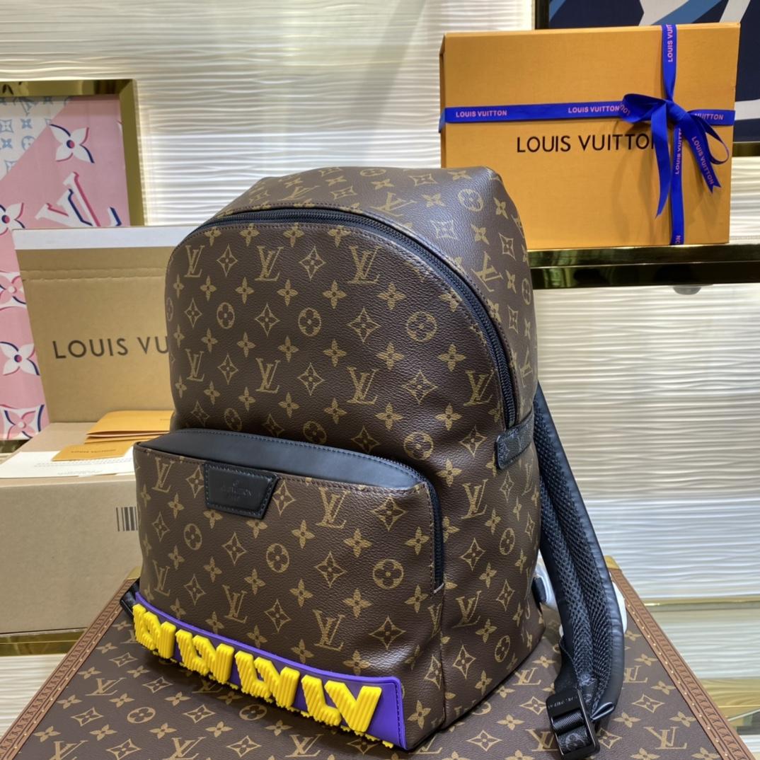 Louis Vuitton Discovery Backpack   M57965 - 