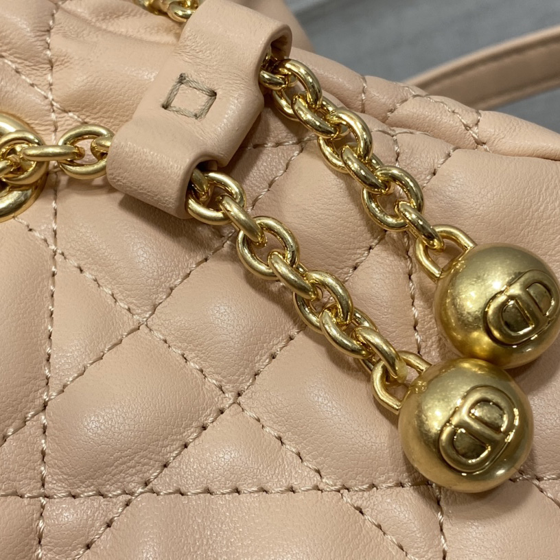 Dior Medium Dior Ammi Bag - 
