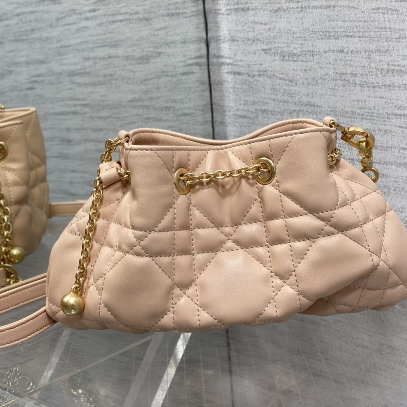 Dior Medium Dior Ammi Bag - 