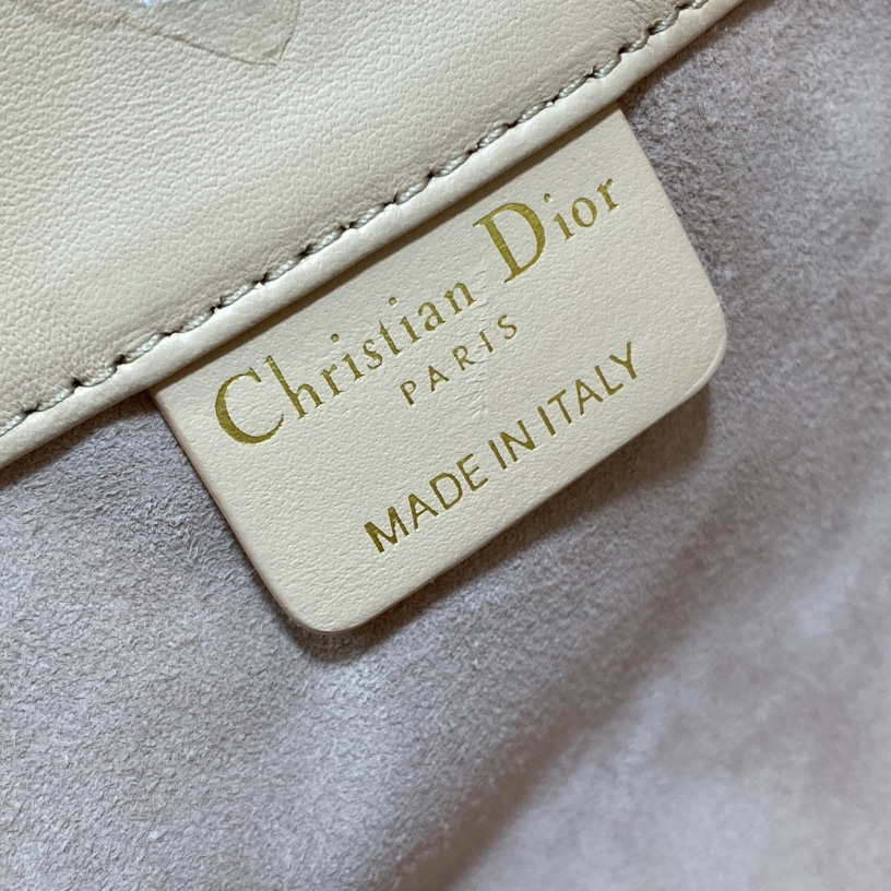 Dior Medium Dior Ammi Bag - 