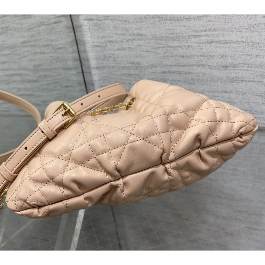 Dior Medium Dior Ammi Bag - 
