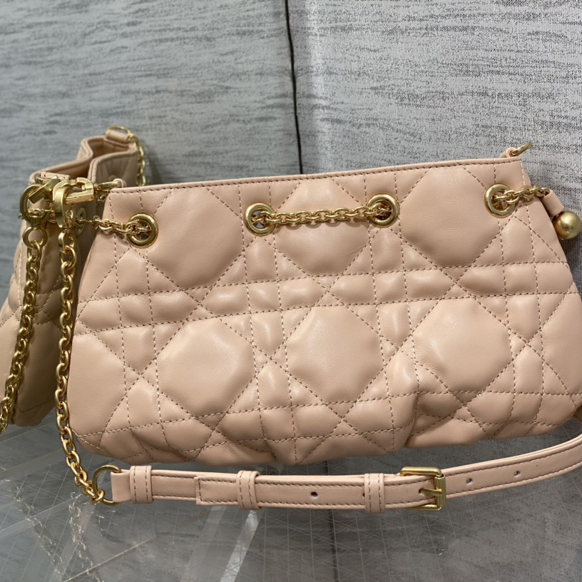 Dior Medium Dior Ammi Bag - 