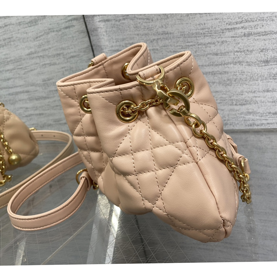 Dior Medium Dior Ammi Bag - 