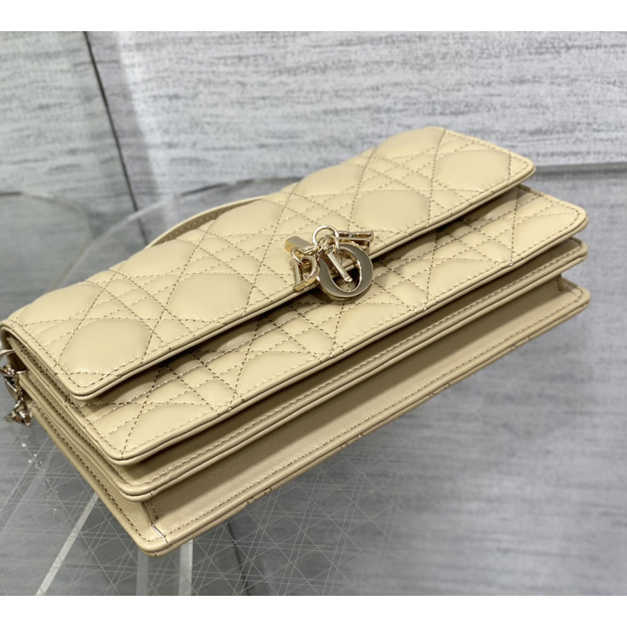 Dior Miss Dior Mini Bag - 
