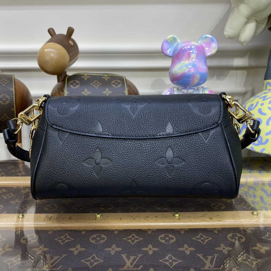 Louis Vuitton Favorite(24 x 14 x 9cm)    M45813 - 