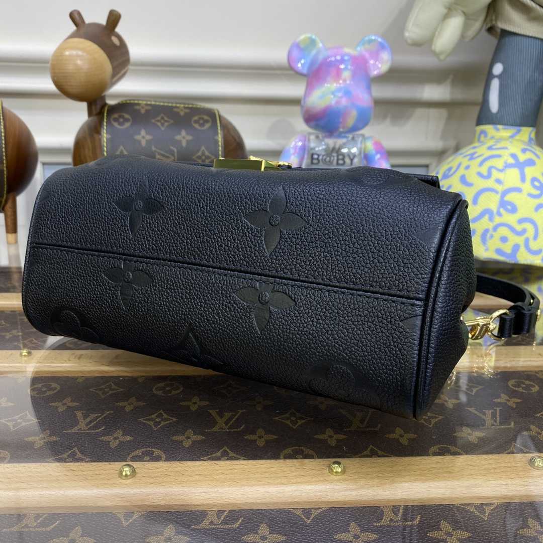 Louis Vuitton Favorite(24 x 14 x 9cm)    M45813 - 