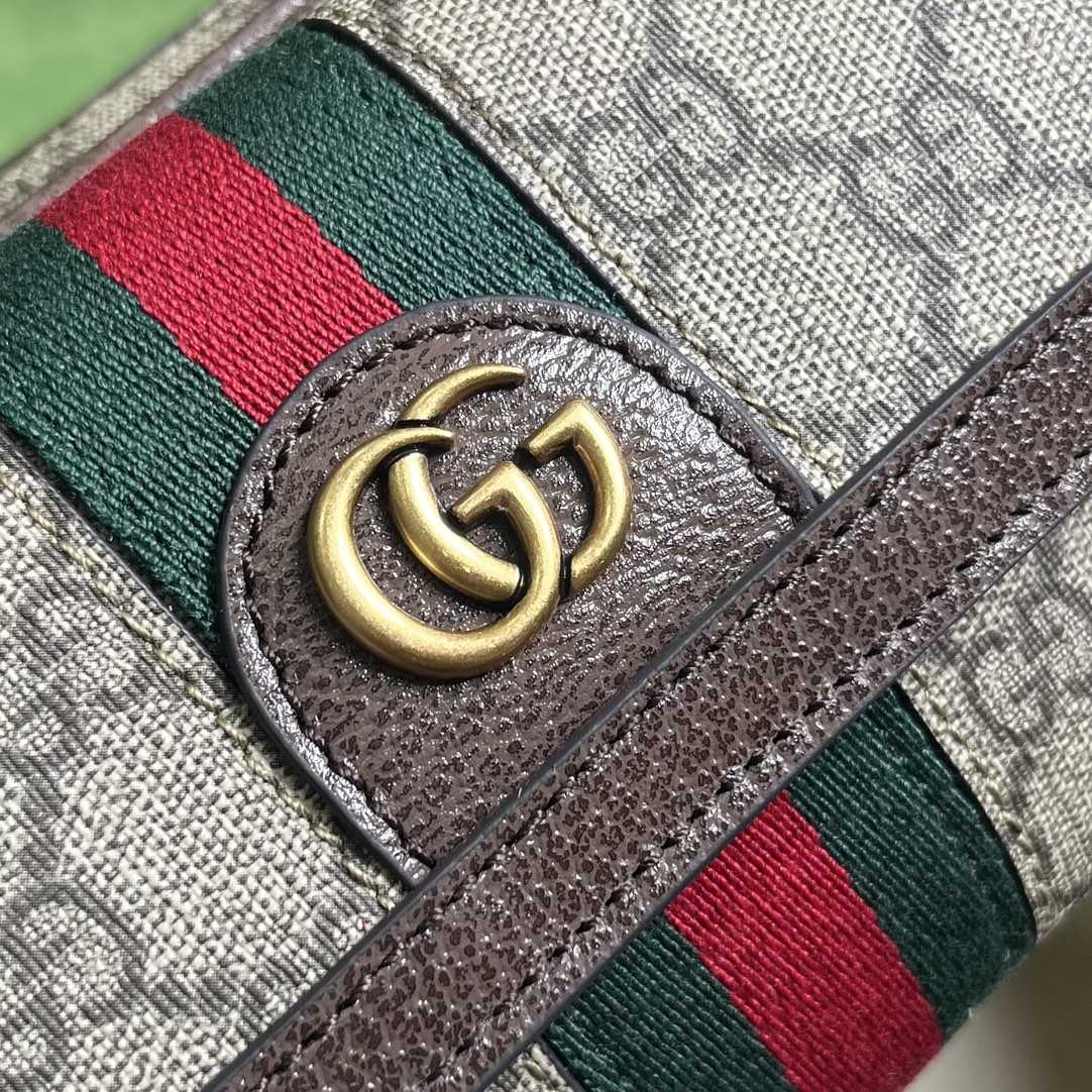 Gucci Ophidia GG Mini Bag(20-12.5-9cm)    - 