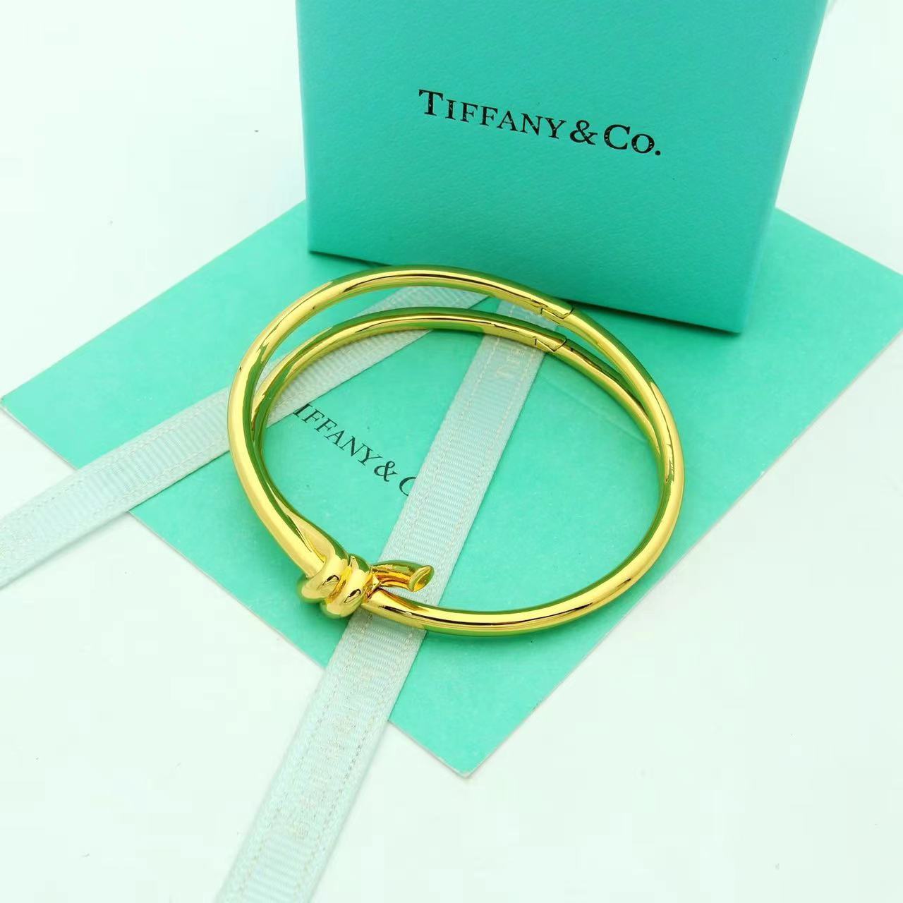 Tiffany&CO Tiffany Knot Double Row Hinged Bangle  - 