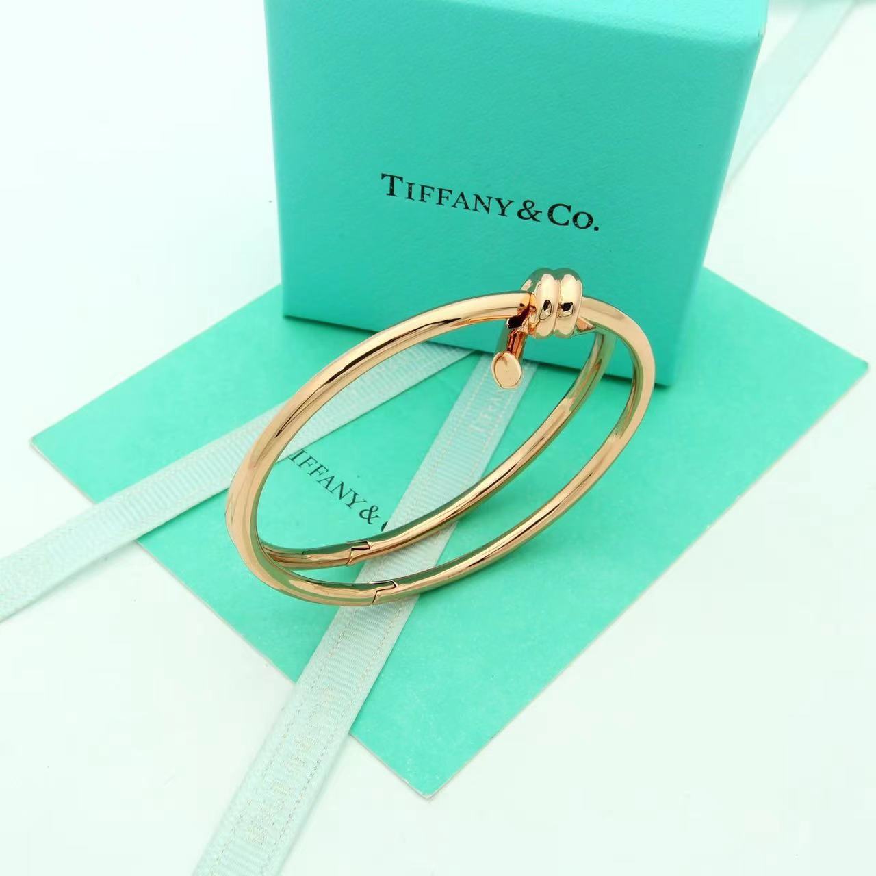 Tiffany&CO Tiffany Knot Double Row Hinged Bangle  - 