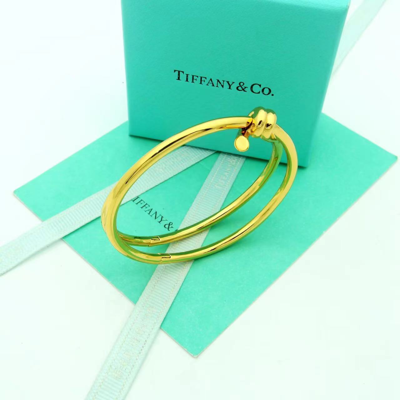 Tiffany&CO Tiffany Knot Double Row Hinged Bangle  - 