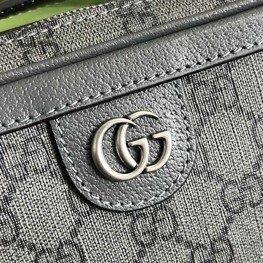Gucci Ophidia Small Shoulder Bag (24x 16x 7cm) - 