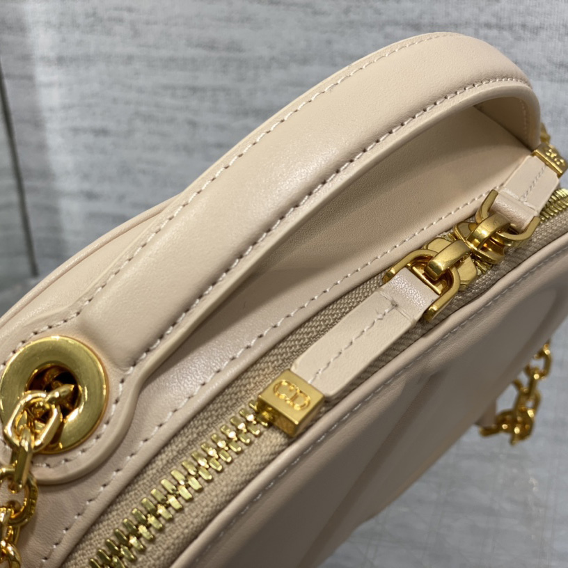 Dior CD Signature Oval Camera Bag - 