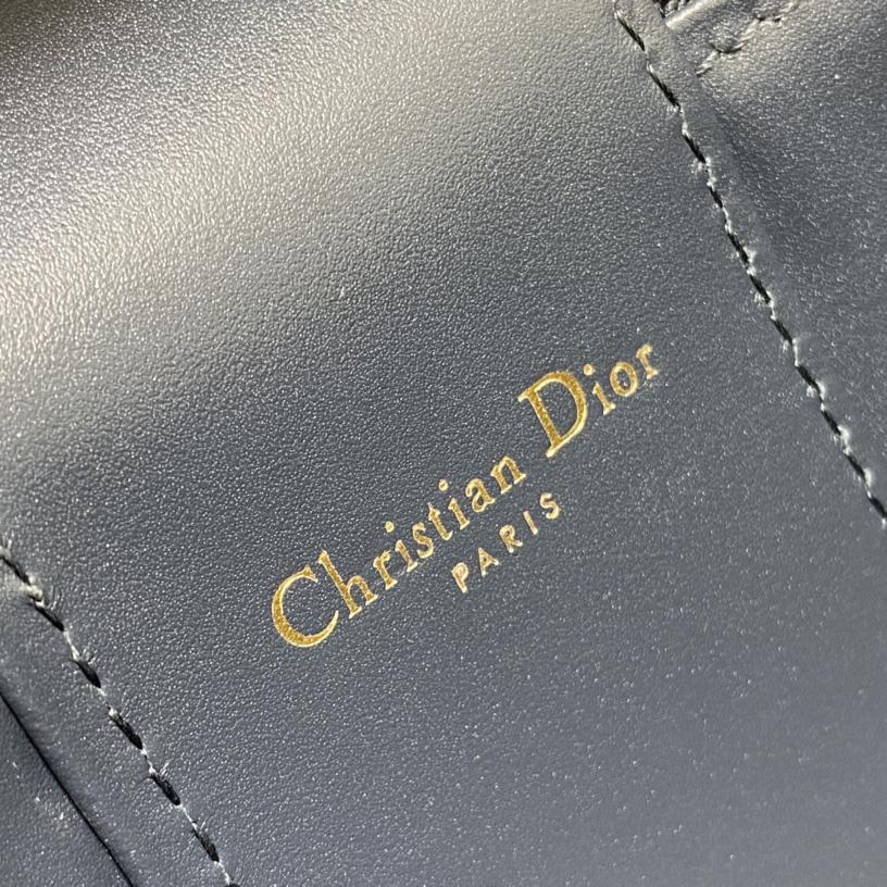 Dior Small CD Signature Vanity Case - 