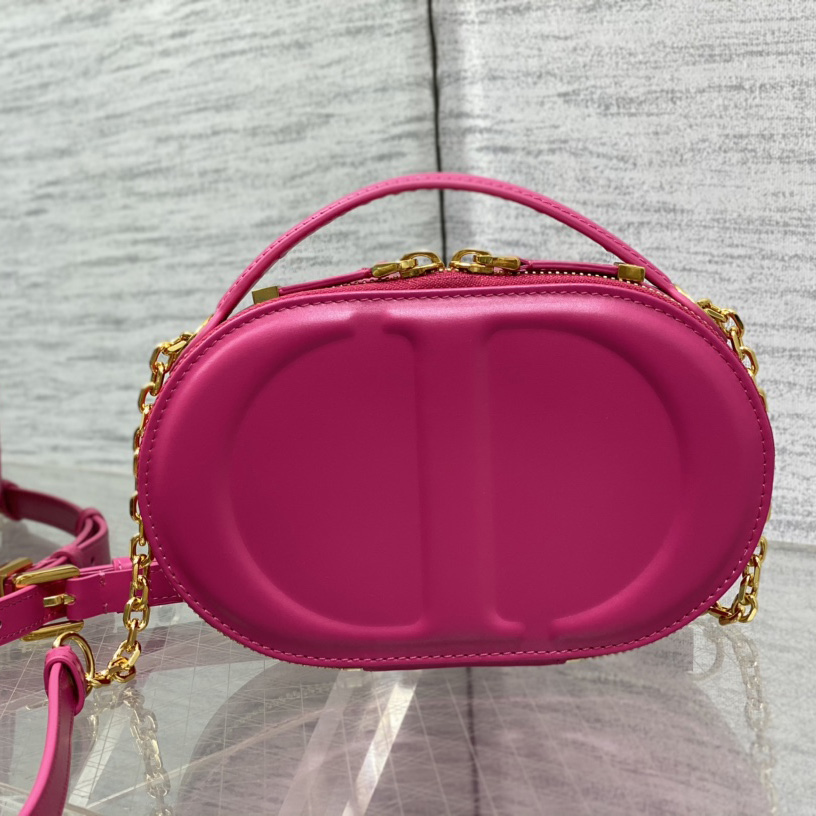 Dior CD Signature Oval Camera Bag - 