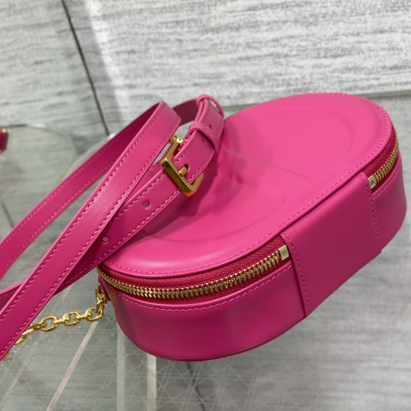Dior CD Signature Oval Camera Bag - 