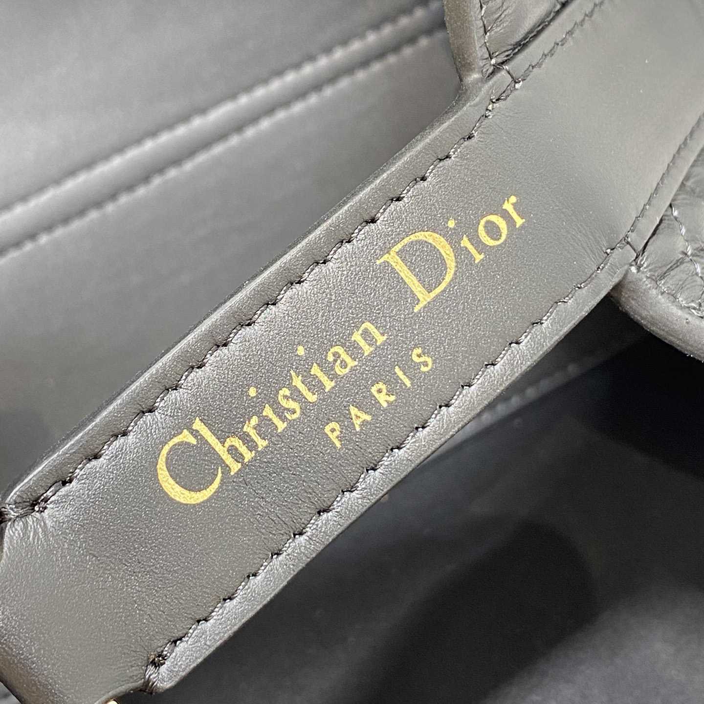 Dior Small Dior Toujours Bag - 