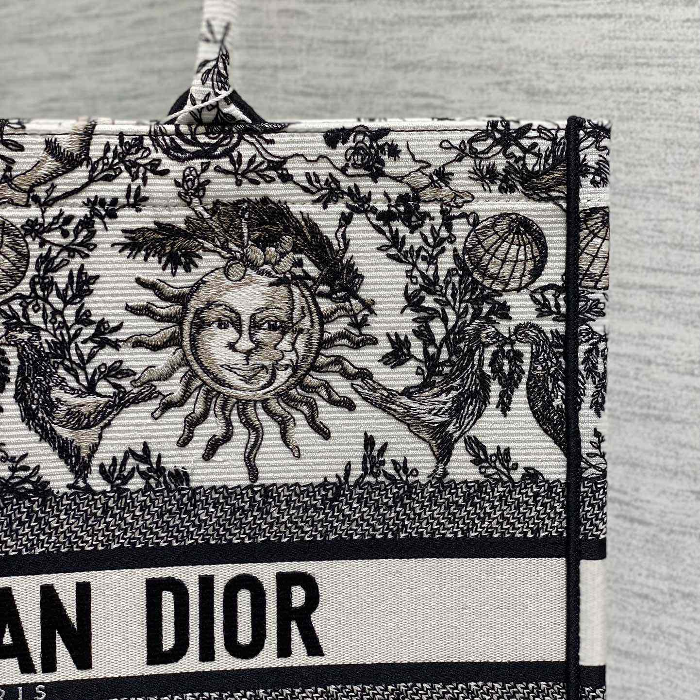 Dior Large Dior Book Tote - 