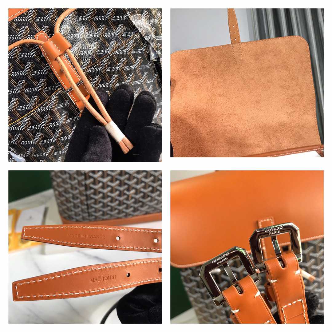 Goyard Alpin MM Backpack - 