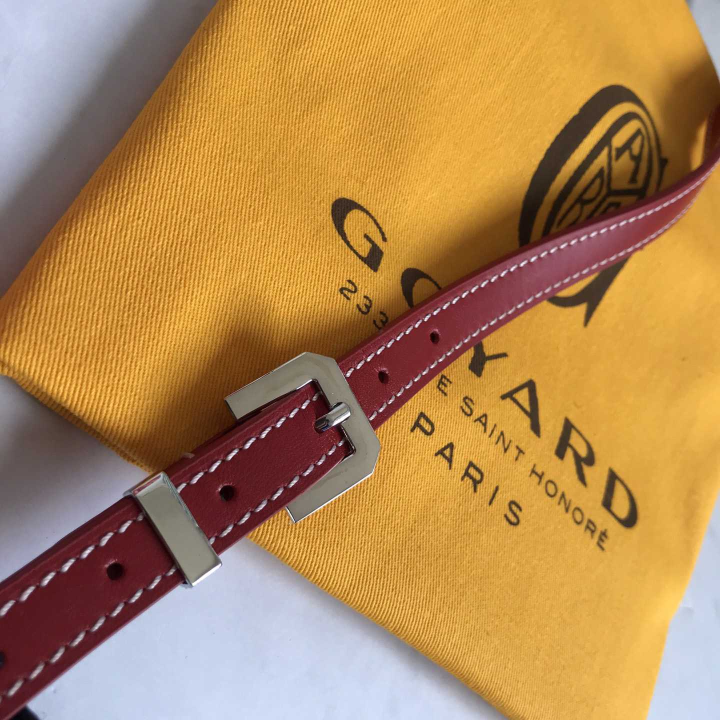 Goyard Cap-Vert PM Bag - 