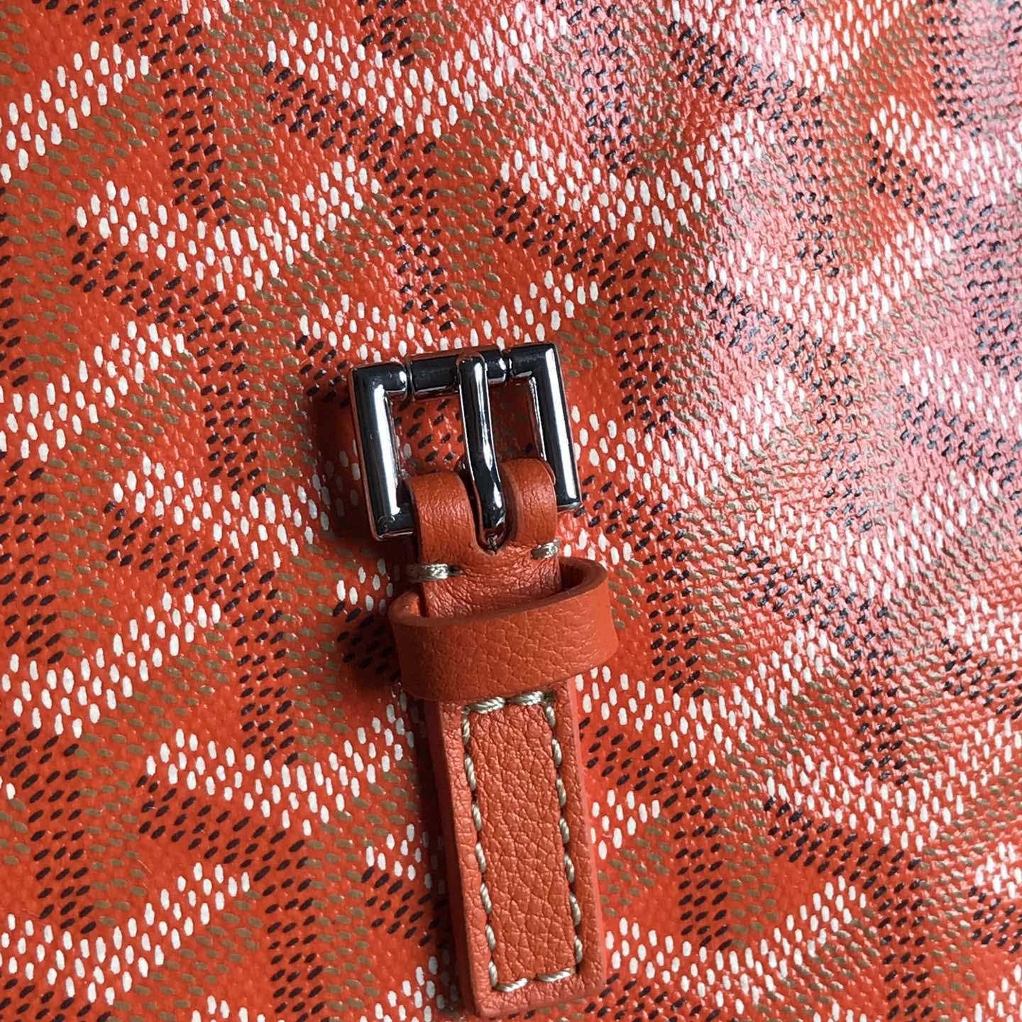 Goyard Alpin Mini Backpack - 