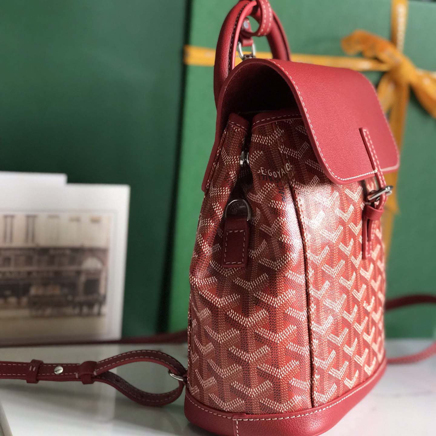 Goyard Alpin Mini Backpack - 