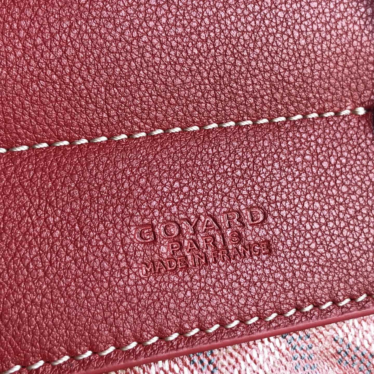 Goyard Alpin Mini Backpack - 