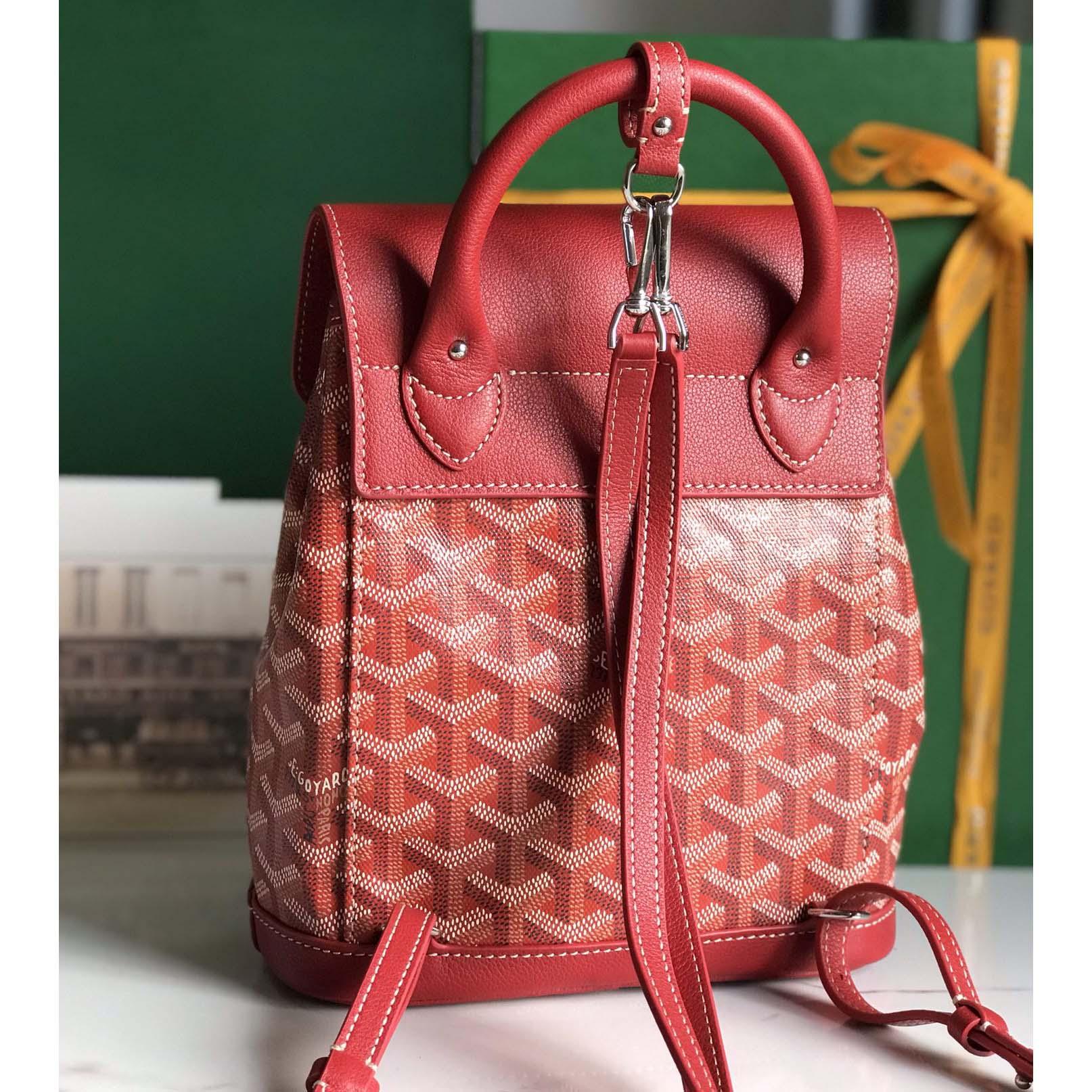 Goyard Alpin Mini Backpack - 