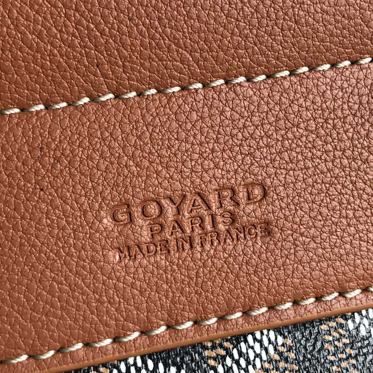 Goyard Alpin Mini Backpack - 