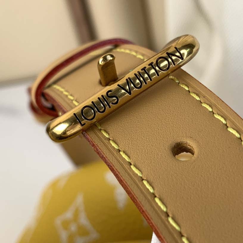 Louis Vuitton Speedy P9 Bandoulière 40  M24419 - 