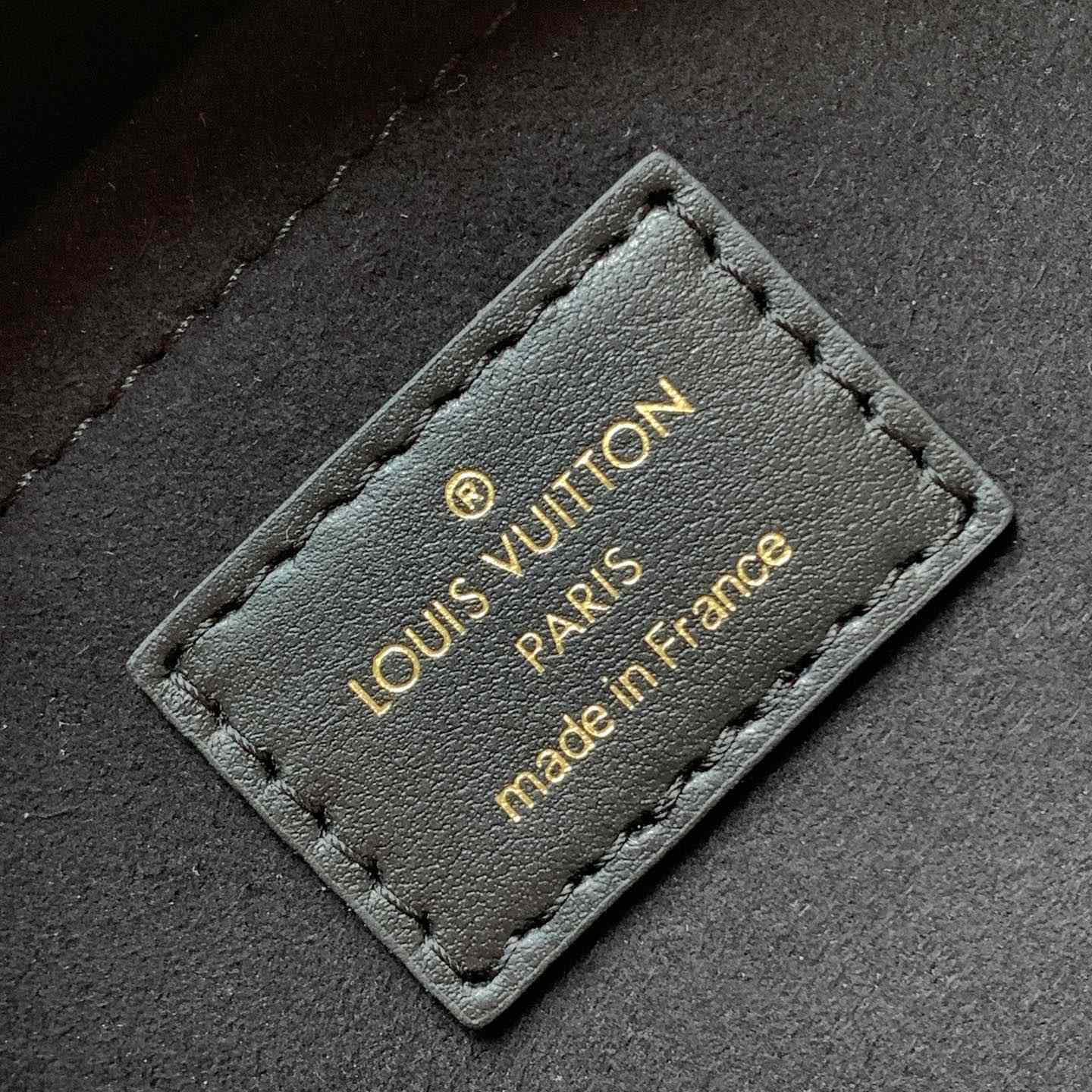 Louis Vuitton Speedy Trunk 20  M13146 - 