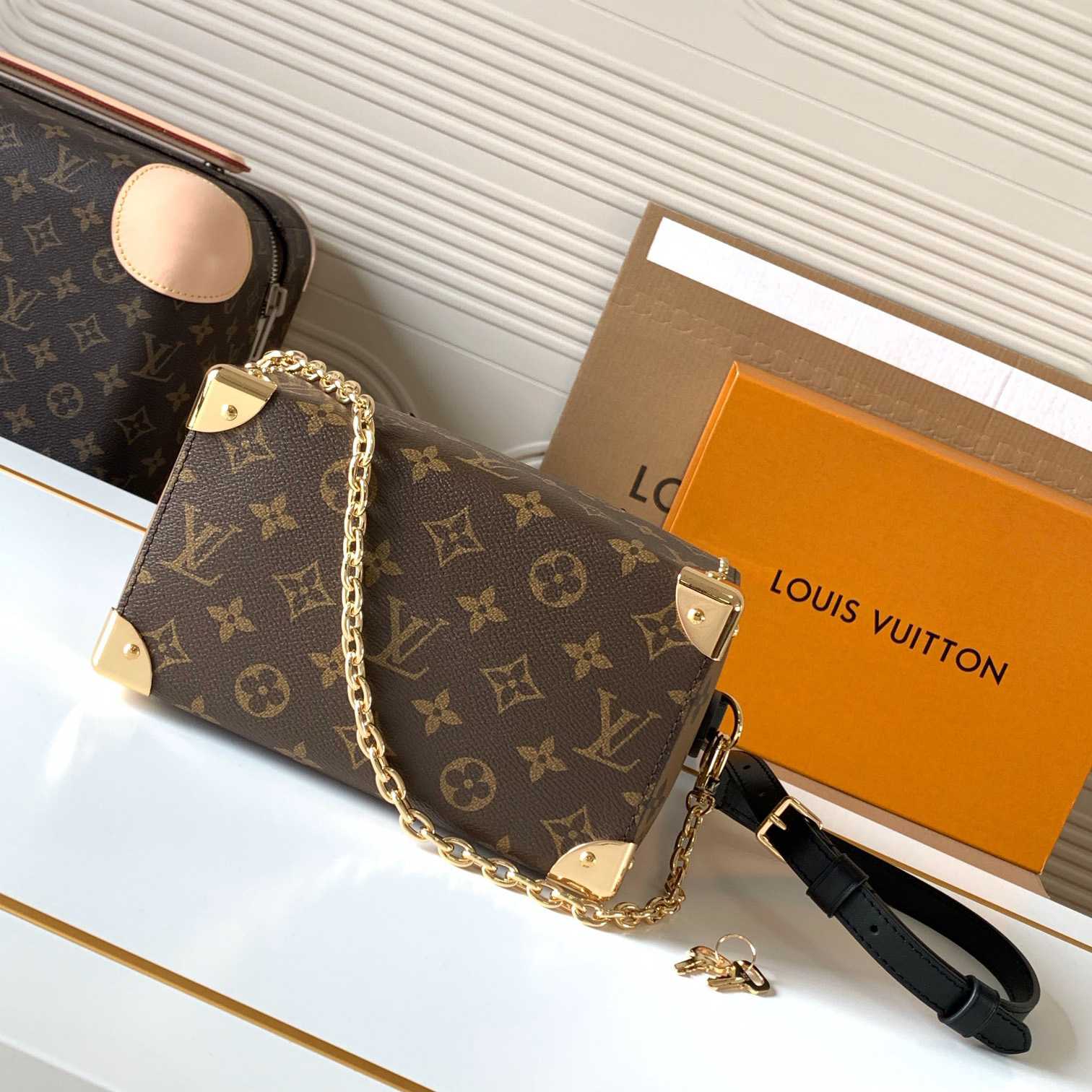Louis Vuitton Speedy Trunk 20  M13146 - 