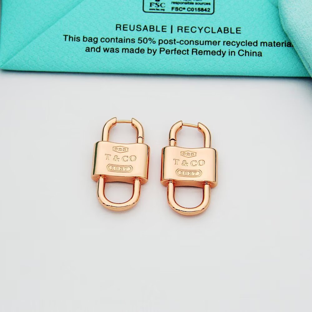 Tiffany & Co. Double Lock Drop Earrings - 