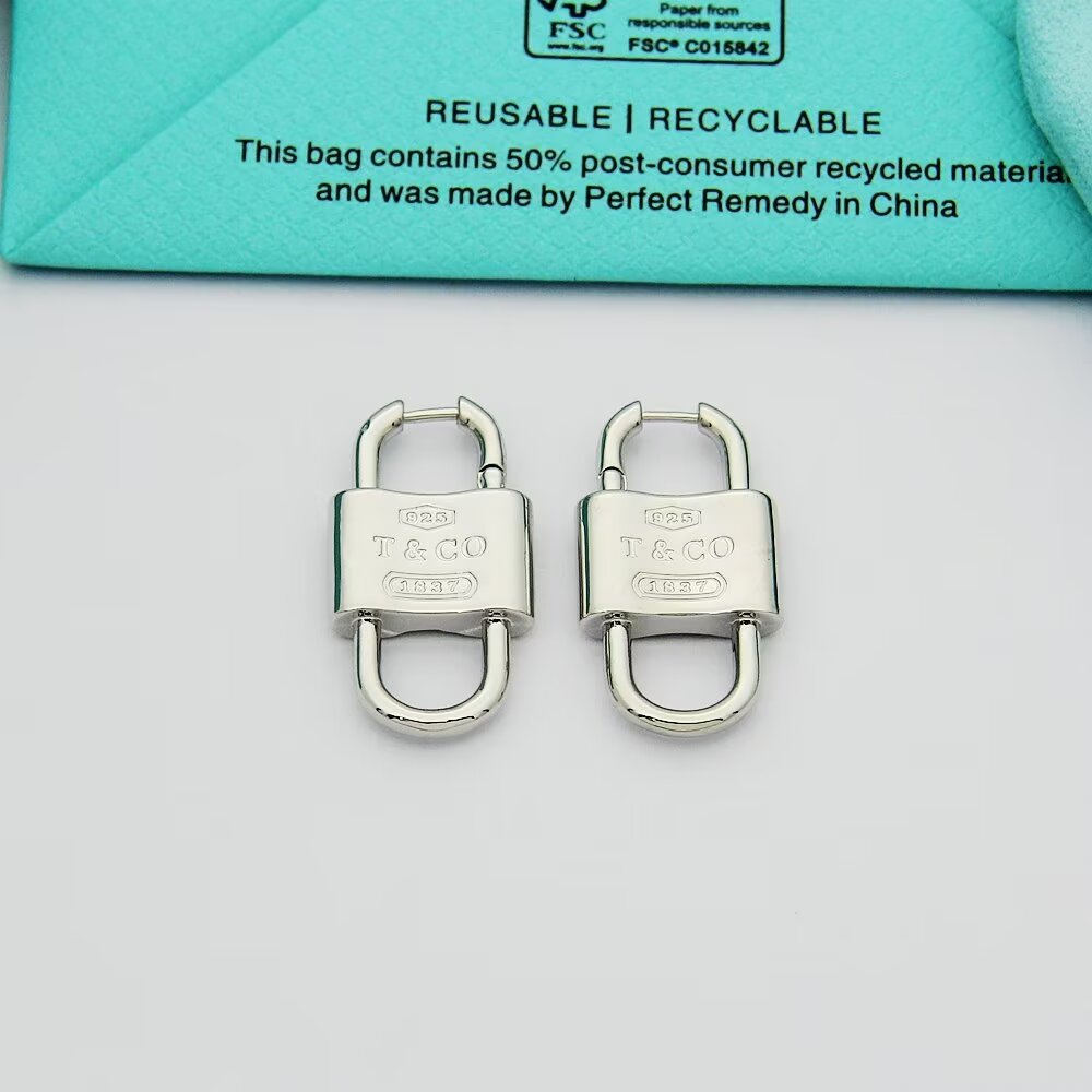 Tiffany & Co. Double Lock Drop Earrings - 