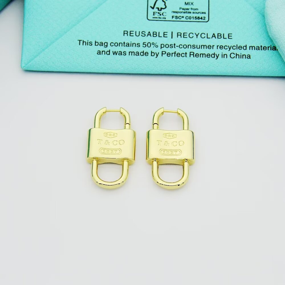 Tiffany & Co. Double Lock Drop Earrings - 
