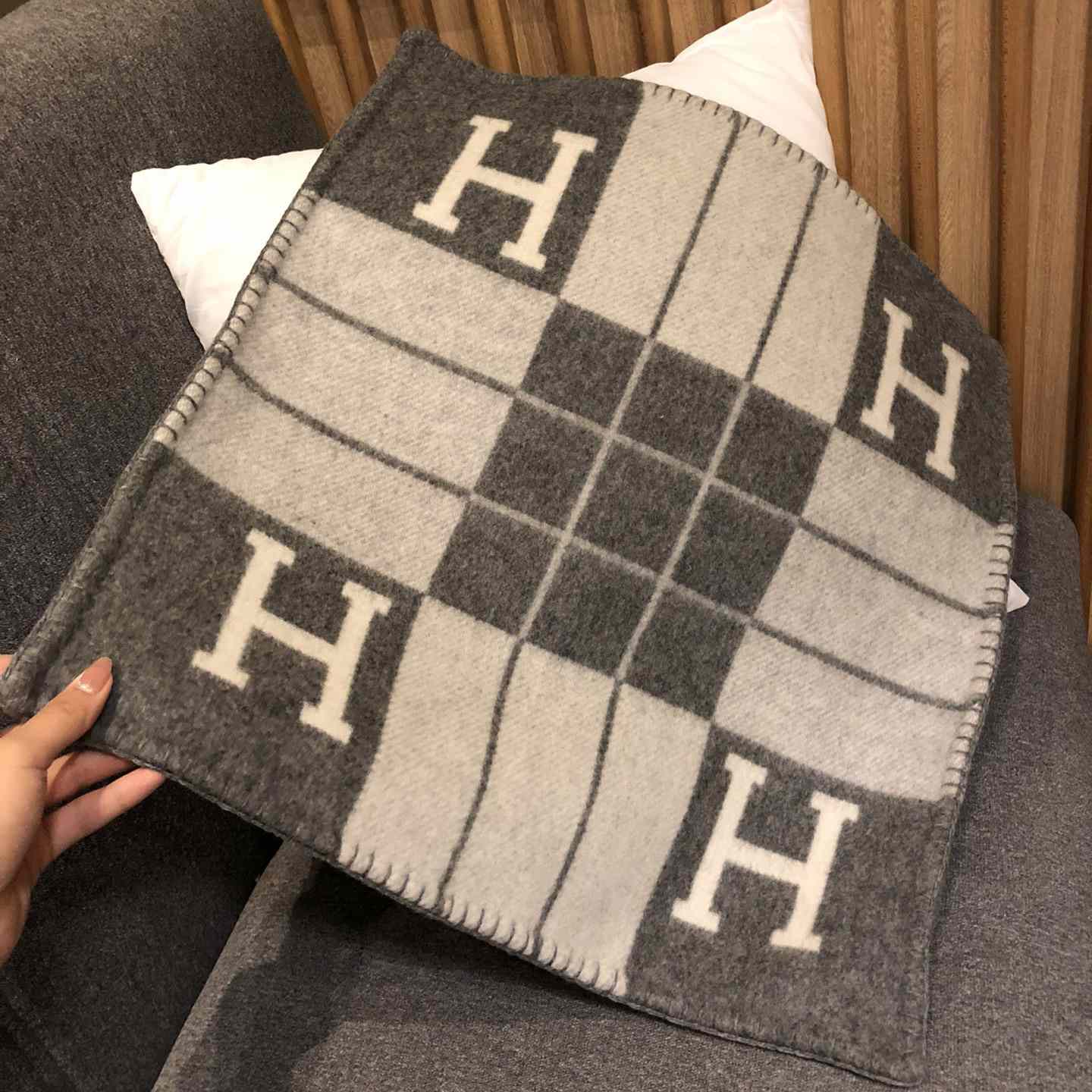 Hermes Avalon III Pillow,Small Model - 