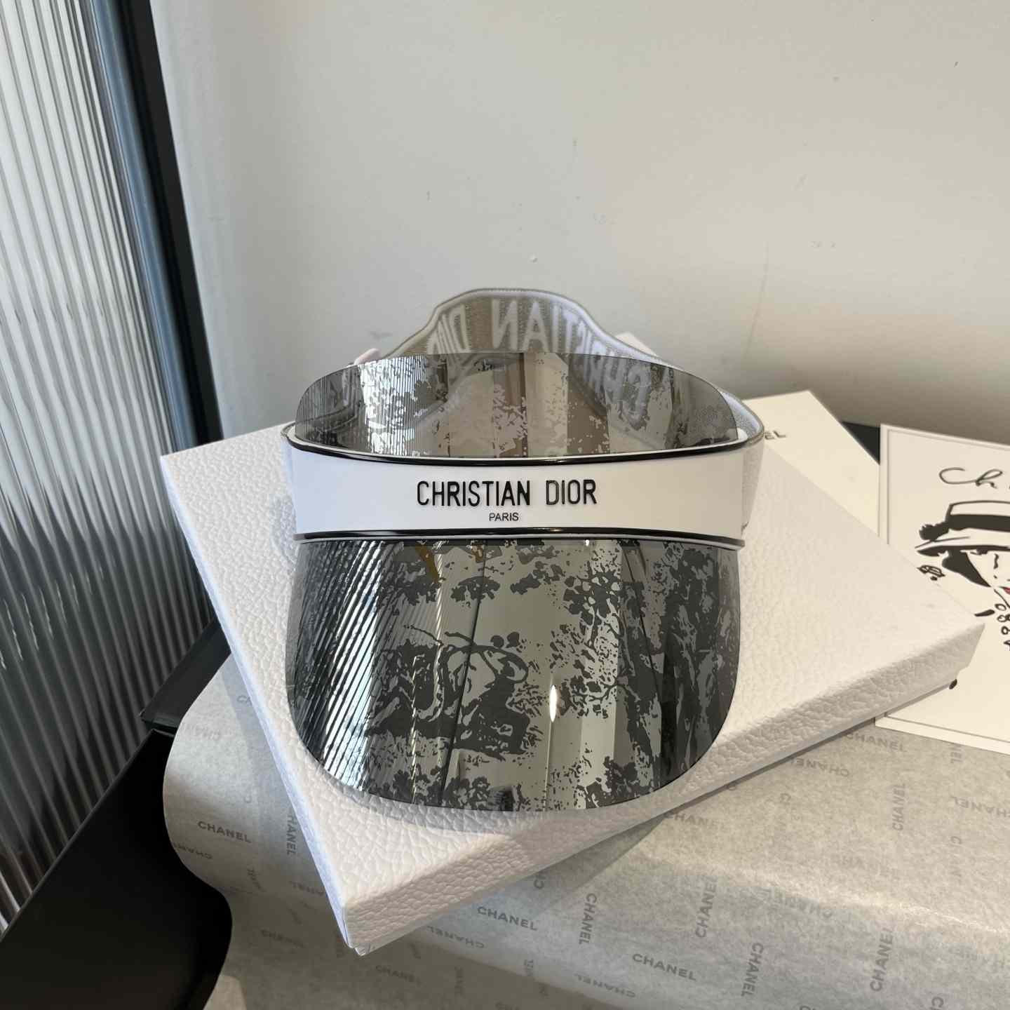 Dior Oblique Cap - DesignerGu