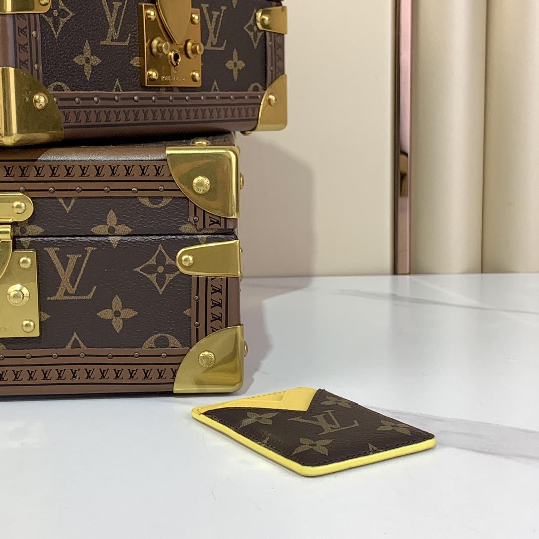 Louis Vuitton Porte-Cartes Magnet  M12853 - 