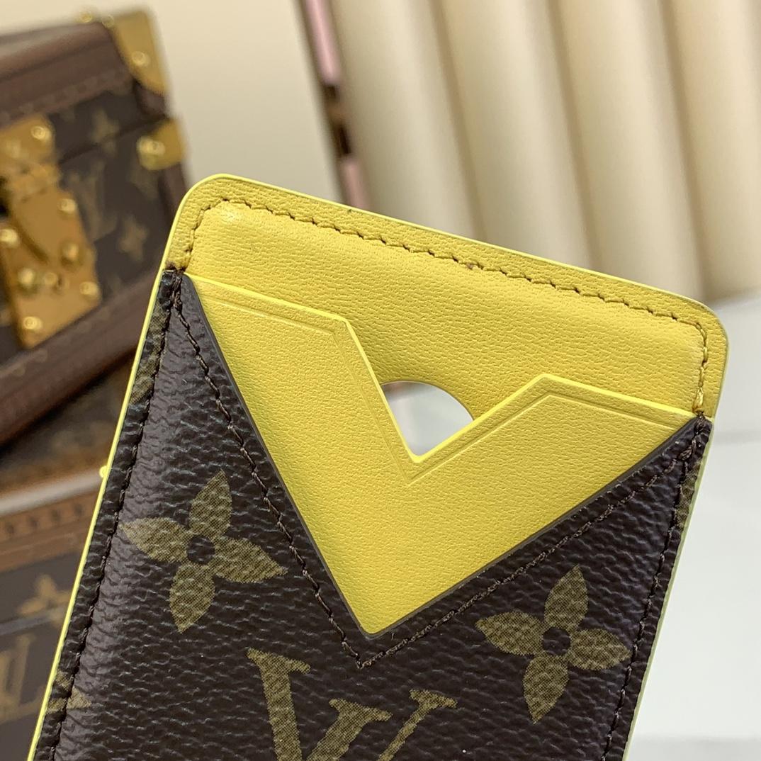 Louis Vuitton Porte-Cartes Magnet  M12853 - 