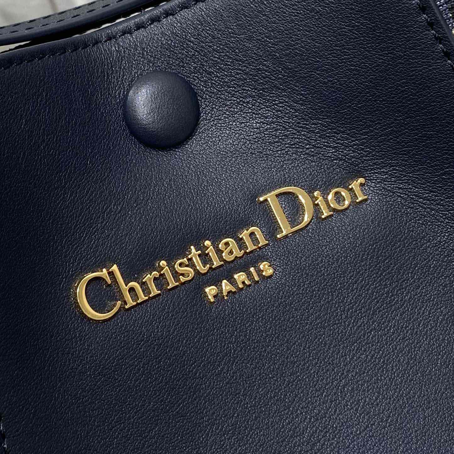 Dior Medium Signature Bucket Bag  - 