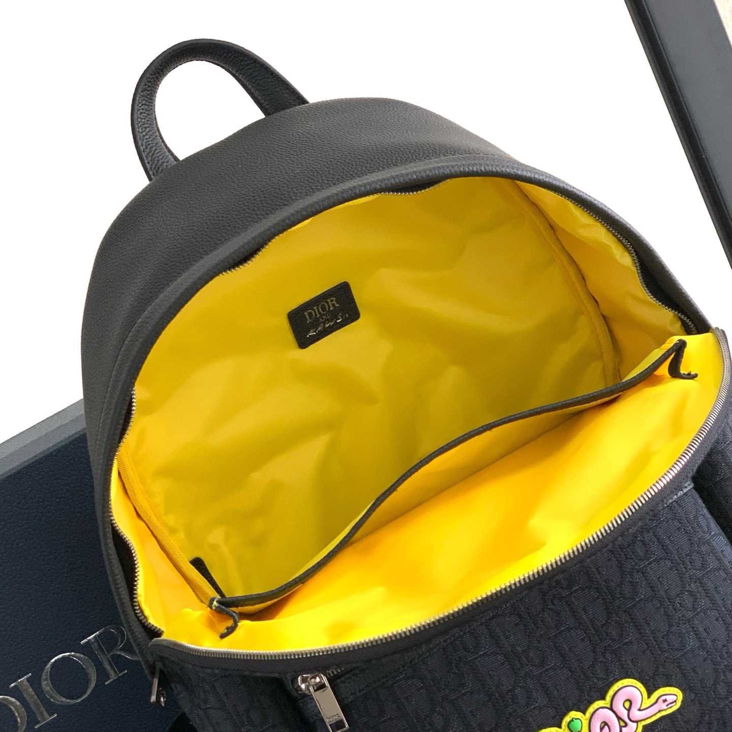 Dior And Kaws Rider 2.0 Zipped Backpack  - 