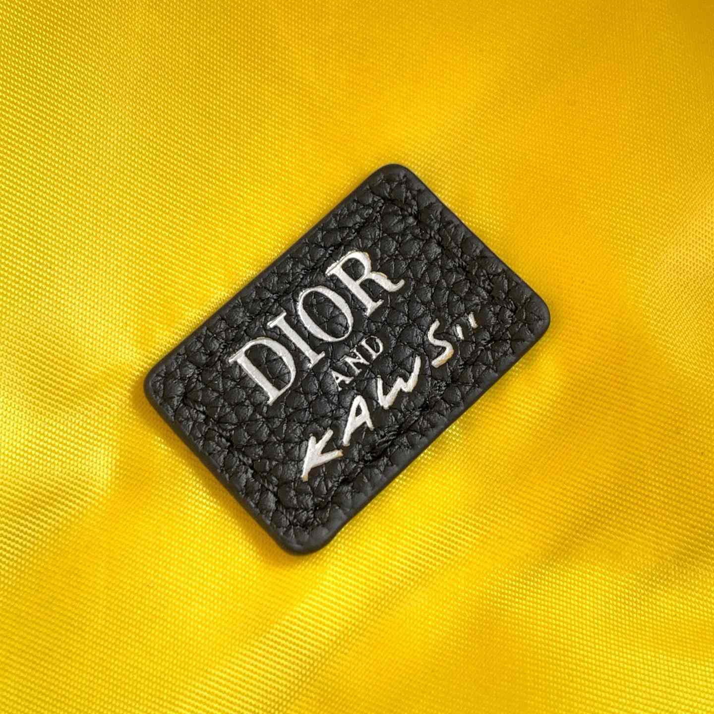 Dior And Kaws Rider 2.0 Zipped Backpack  - 
