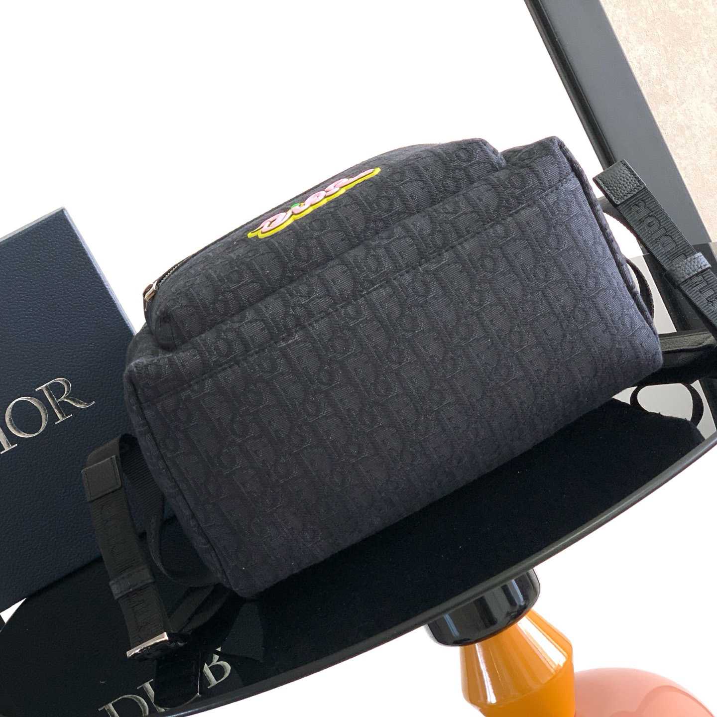 Dior And Kaws Rider 2.0 Zipped Backpack  - 