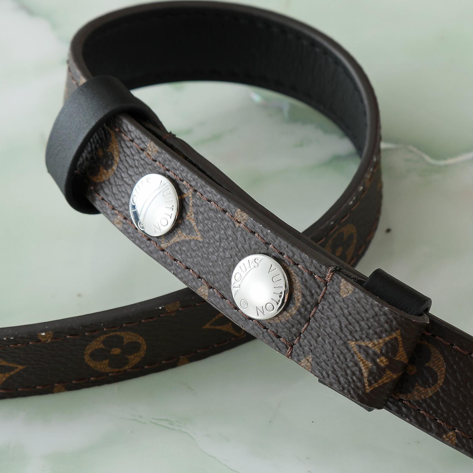 Louis Vuitton Dauphine Soft Vibe MM   M13450 - 
