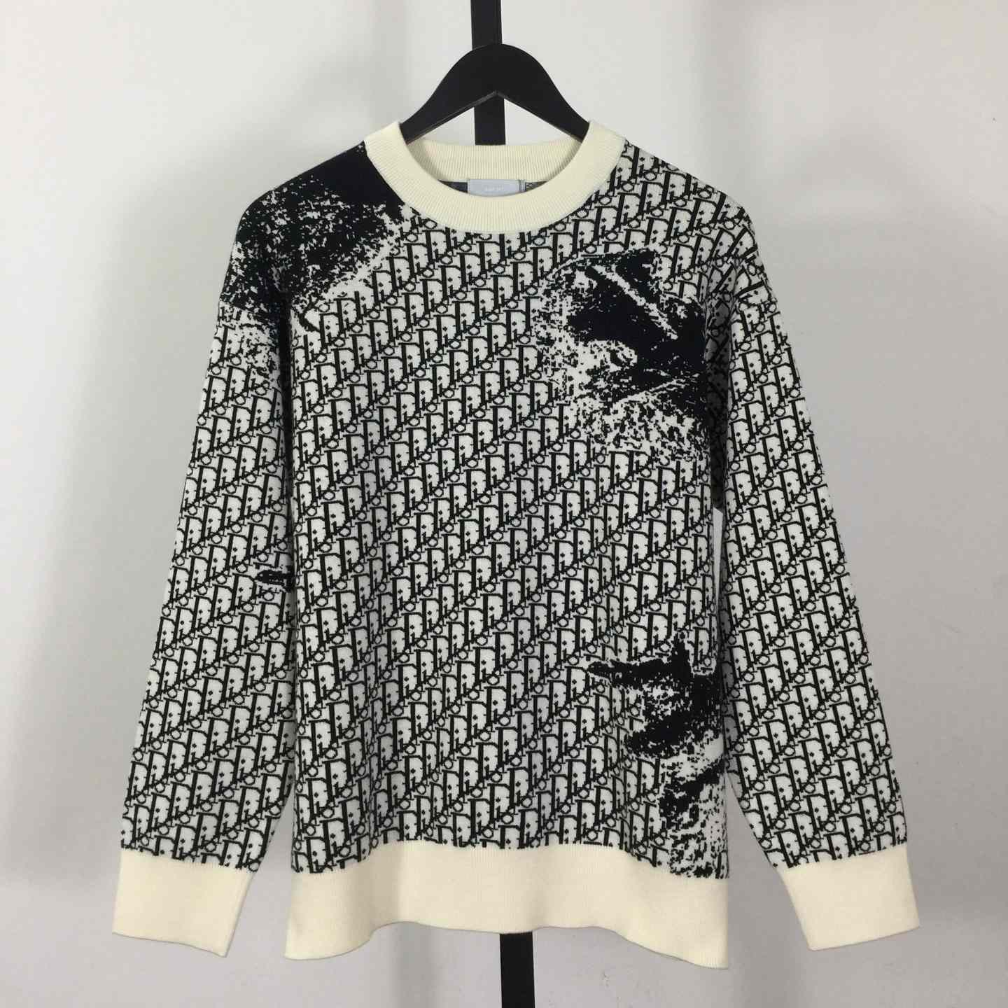 Dior Oblique Sweater In Wool - DesignerGu