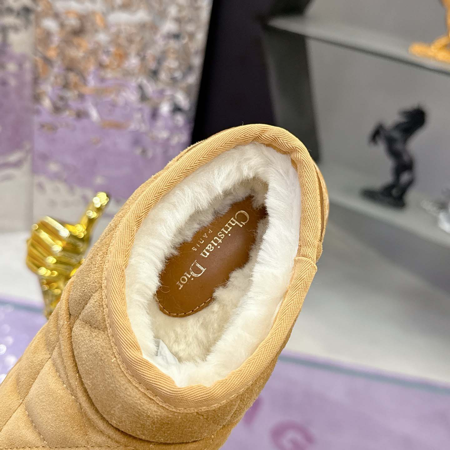 Dior Frost Low Ankle Boot - DesignerGu