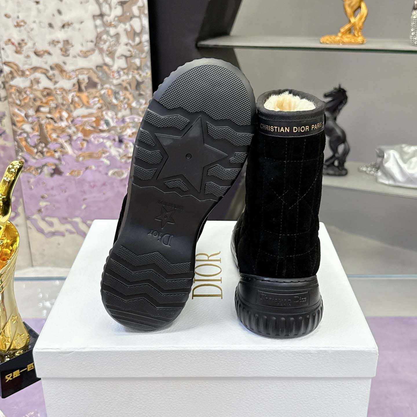 Dior Frost Ankle Boot  - DesignerGu