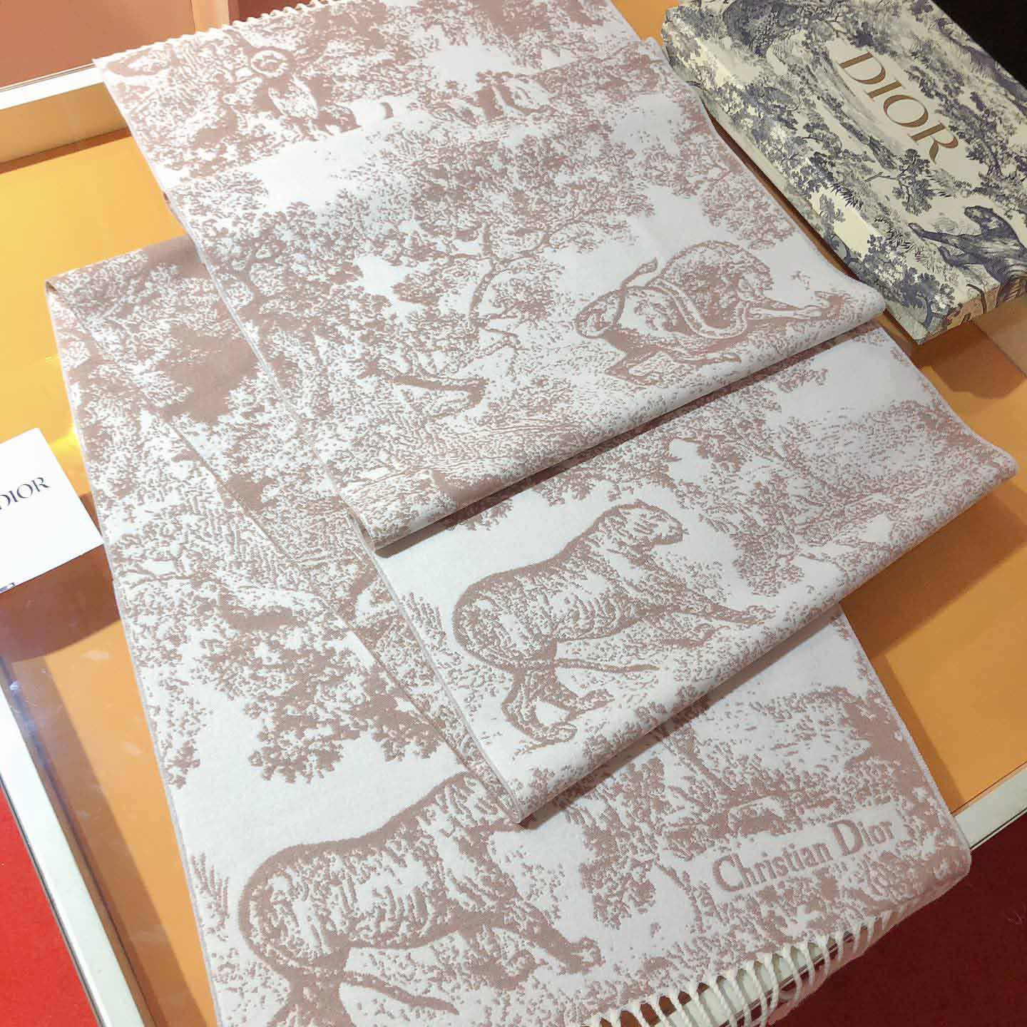 Dior Toile de Jouy Sauvage Scarf - DesignerGu