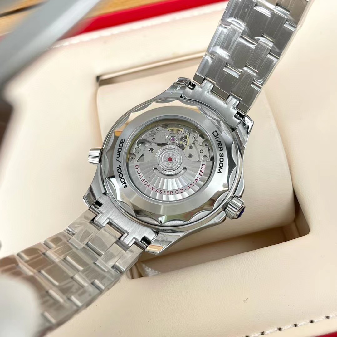 Omega Watch - 