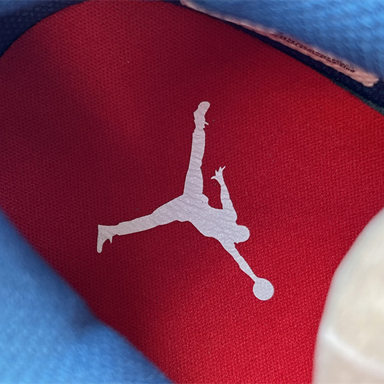 Nike Air Jordan Legacy 312 Low Sneaker    FV8117-141 - DesignerGu